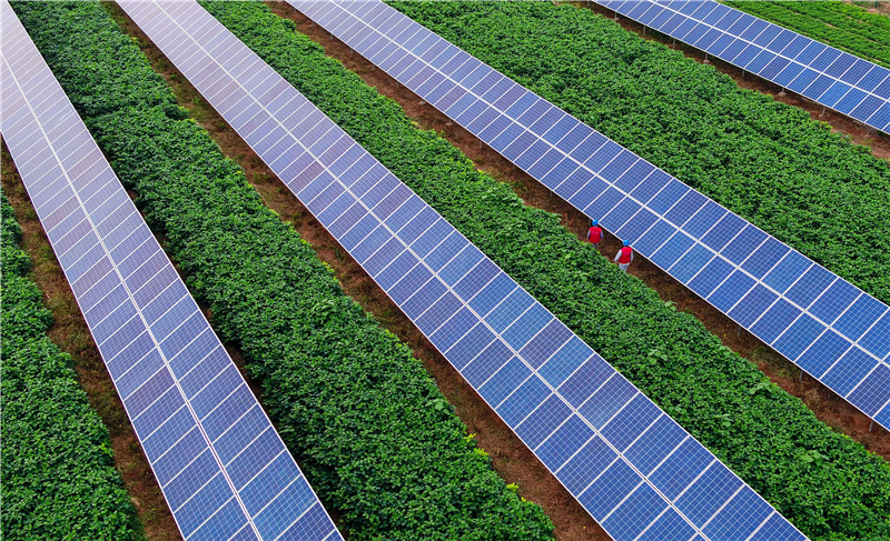 江蘇鎮(zhèn)江高資中科大100MW農(nóng)光項目